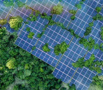 Solar,Panels,Installed,In,The,Green,Forest,Clean,Alternative,Energy
